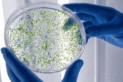 Air-borne-particle-count