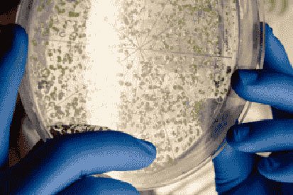 Microbial-Air-Monitoring